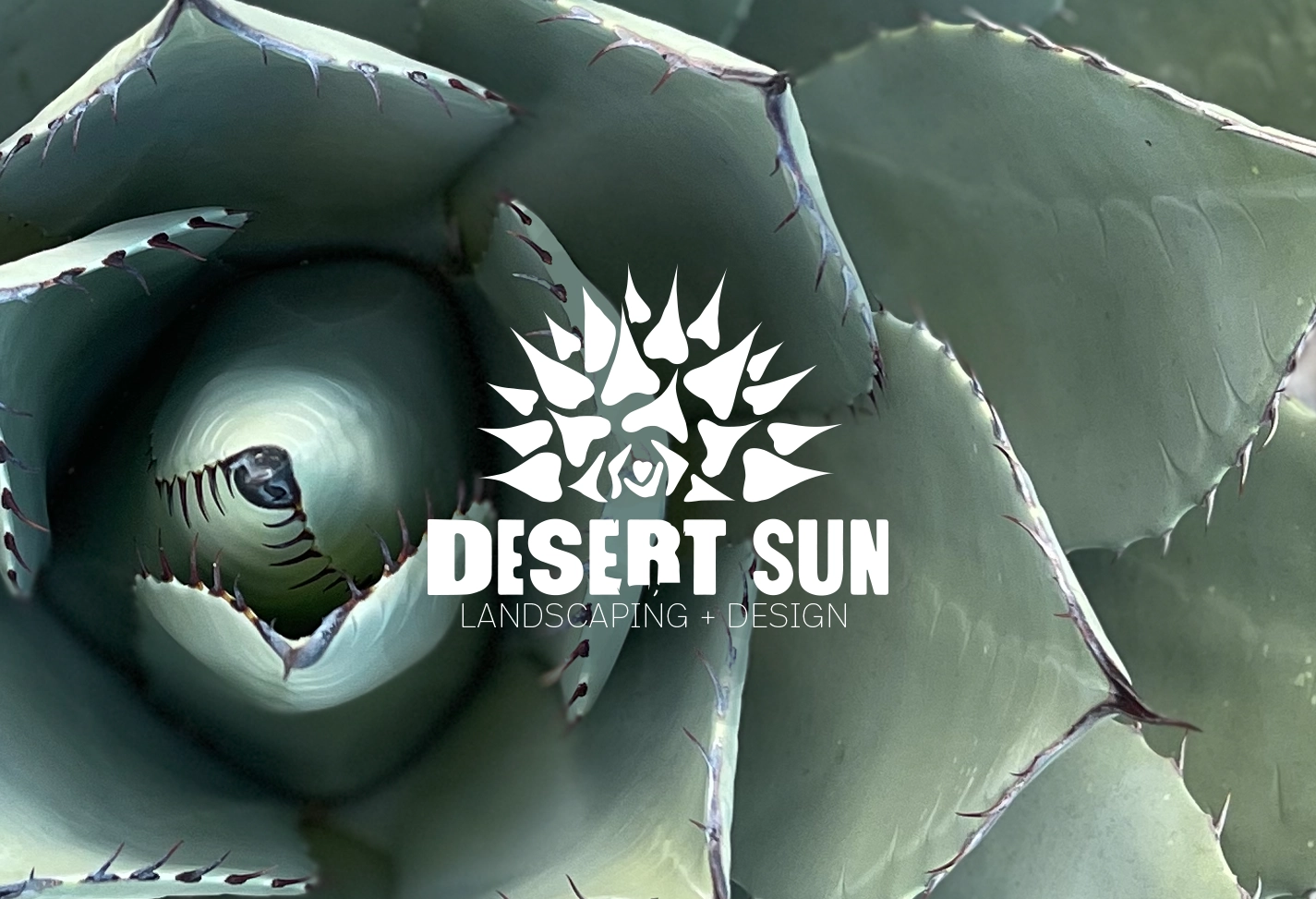 Desert Sun Landscaping + Design Splash Screen